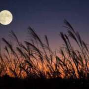 ヒメ日記 2025/09/06 11:46 投稿 ありさ マリンマリン