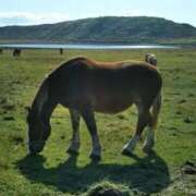 ヒメ日記 2025/09/29 12:05 投稿 ありさ マリンマリン