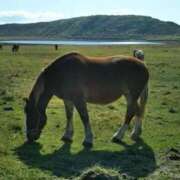 ヒメ日記 2025/09/29 14:14 投稿 ありさ マリンマリン