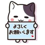 ヒメ日記 2026/08/28 14:03 投稿 いちか ふわもこ人妻ランド　那須塩原店