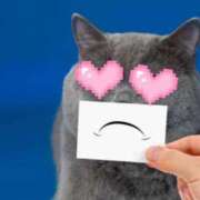 ヒメ日記 2026/03/04 14:53 投稿 きの 秋葉原コスプレ学園in仙台