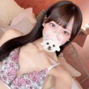 ヒメ日記 2025/08/25 08:05 投稿 すずか【ザ清楚ここに顕現】 STELLA TOKYO－ステラトウキョウ－