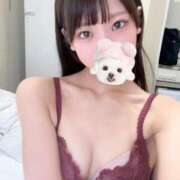 ヒメ日記 2025/08/28 14:03 投稿 すずか【ザ清楚ここに顕現】 STELLA TOKYO－ステラトウキョウ－