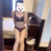 ヒメ日記 2025/09/02 10:03 投稿 すずか【ザ清楚ここに顕現】 STELLA TOKYO－ステラトウキョウ－