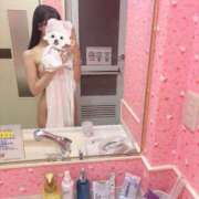 ヒメ日記 2025/09/17 14:03 投稿 すずか【ザ清楚ここに顕現】 STELLA TOKYO－ステラトウキョウ－