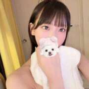 ヒメ日記 2025/09/24 10:03 投稿 すずか【ザ清楚ここに顕現】 STELLA TOKYO－ステラトウキョウ－