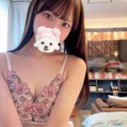 ヒメ日記 2025/10/12 11:32 投稿 すずか【ザ清楚ここに顕現】 STELLA TOKYO－ステラトウキョウ－