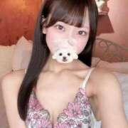 ヒメ日記 2025/11/03 11:34 投稿 すずか【ザ清楚ここに顕現】 STELLA TOKYO－ステラトウキョウ－