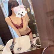 ヒメ日記 2025/11/17 13:01 投稿 すずか【ザ清楚ここに顕現】 STELLA TOKYO－ステラトウキョウ－