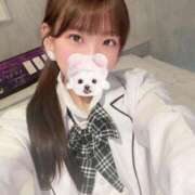 ヒメ日記 2026/03/13 17:13 投稿 すずか【ザ清楚ここに顕現】 STELLA TOKYO－ステラトウキョウ－