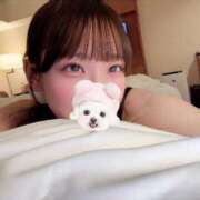 ヒメ日記 2026/03/25 12:08 投稿 すずか【ザ清楚ここに顕現】 STELLA TOKYO－ステラトウキョウ－