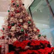 ヒメ日記 2025/11/14 12:19 投稿 みなと ぐっすり山田　大阪店