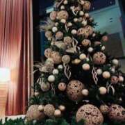 ヒメ日記 2025/12/11 09:19 投稿 みなと ぐっすり山田　大阪店