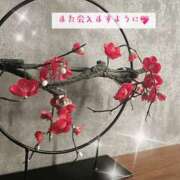 ヒメ日記 2025/09/26 23:41 投稿 吉岡むぎ エステdeシンデレラ横浜（シンデレラグループ）