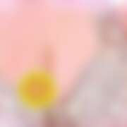 ヒメ日記 2025/09/02 17:11 投稿 ひまわり 熟女の風俗最終章 錦糸町店