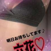 ヒメ日記 2025/08/28 20:31 投稿 六花（リッカ） アバンチュール(五反田)