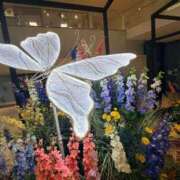 ヒメ日記 2026/03/09 07:31 投稿 六花（リッカ） アバンチュール(五反田)