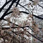 ヒメ日記 2026/03/31 08:46 投稿 六花（リッカ） アバンチュール(五反田)