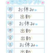 ヒメ日記 2025/09/16 11:22 投稿 九条 鶯谷ワンハート