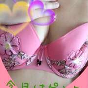 ヒメ日記 2025/11/03 08:02 投稿 九条 鶯谷ワンハート