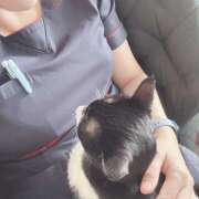 ヒメ日記 2025/11/19 07:43 投稿 九条 鶯谷ワンハート