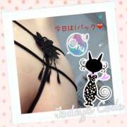 ヒメ日記 2025/12/08 07:26 投稿 九条 鶯谷ワンハート