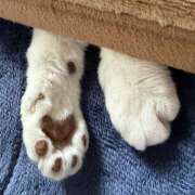 ヒメ日記 2025/12/17 10:18 投稿 九条 鶯谷ワンハート