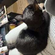 ヒメ日記 2025/12/21 10:05 投稿 九条 鶯谷ワンハート