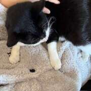 ヒメ日記 2026/01/31 14:23 投稿 九条 鶯谷ワンハート