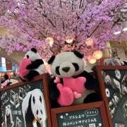 ヒメ日記 2026/03/08 09:38 投稿 九条 鶯谷ワンハート