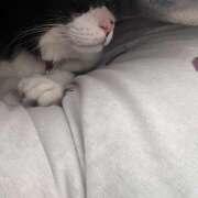 ヒメ日記 2026/03/28 11:11 投稿 九条 鶯谷ワンハート