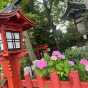 ヒメ日記 2026/06/12 07:16 投稿 九条 鶯谷ワンハート
