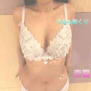 ヒメ日記 2025/10/12 08:04 投稿 恋雪（こゆき） PLUS難波店