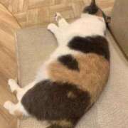 ヒメ日記 2025/11/03 09:06 投稿 えみな 埼玉熊谷ちゃんこ