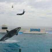 ヒメ日記 2025/12/08 08:16 投稿 えみな 埼玉熊谷ちゃんこ