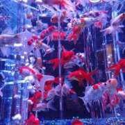 ヒメ日記 2025/12/20 05:16 投稿 えみな 埼玉熊谷ちゃんこ