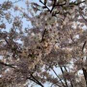 ヒメ日記 2026/01/23 14:00 投稿 えみな 埼玉熊谷ちゃんこ