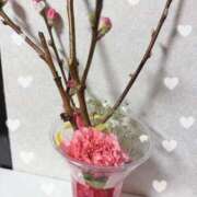 ヒメ日記 2026/03/02 20:06 投稿 えみな 埼玉熊谷ちゃんこ