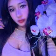 ヒメ日記 2025/09/07 18:42 投稿 ジュリア バニーコレクション新潟店