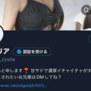 ヒメ日記 2025/09/09 11:48 投稿 ジュリア バニーコレクション新潟店