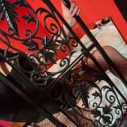 ジュリア 器用なんです バニーコレクション新潟店