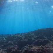 ヒメ日記 2025/10/12 20:42 投稿 ゆうみ 出会い系人妻ネットワーク さいたま～大宮編