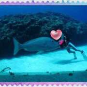 ヒメ日記 2025/12/08 17:02 投稿 ゆうみ 出会い系人妻ネットワーク さいたま～大宮編