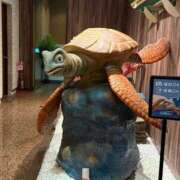 ヒメ日記 2025/08/26 19:44 投稿 Airi 濃密バブルSPA VIP