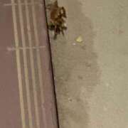 ヒメ日記 2025/09/13 23:34 投稿 Airi 濃密バブルSPA VIP