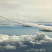 ヒメ日記 2025/09/19 01:14 投稿 ゆうみ 出会い系人妻ネットワーク 春日部〜岩槻編