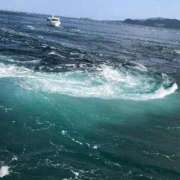 ヒメ日記 2025/10/28 12:44 投稿 ゆうみ 出会い系人妻ネットワーク 春日部〜岩槻編