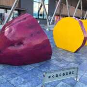 ヒメ日記 2025/11/22 11:14 投稿 ゆうみ 出会い系人妻ネットワーク 春日部〜岩槻編