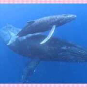 ヒメ日記 2026/03/01 11:44 投稿 ゆうみ 出会い系人妻ネットワーク 春日部〜岩槻編