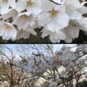 ヒメ日記 2026/04/06 14:34 投稿 ゆうみ 出会い系人妻ネットワーク 春日部〜岩槻編